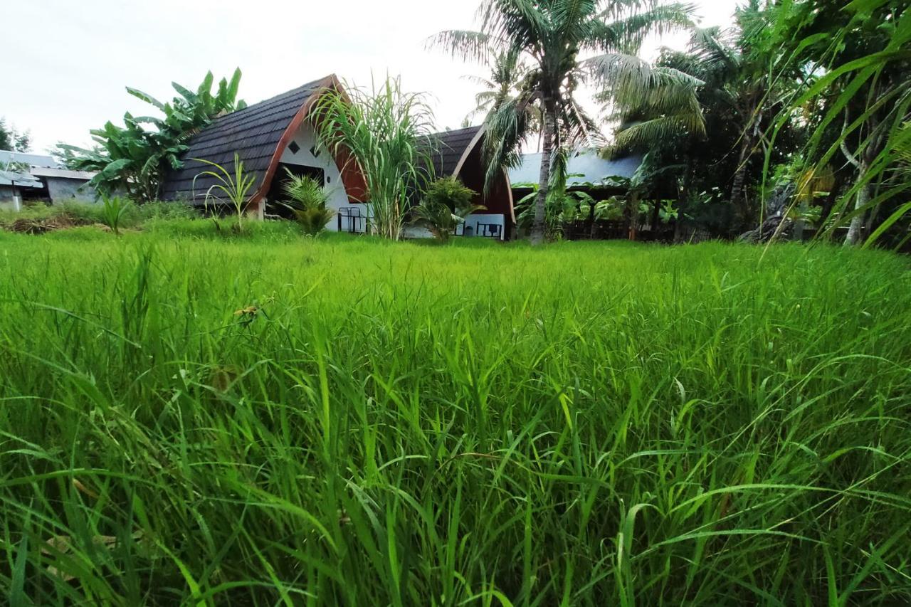 Coconut Gili Meno Hotel ภายนอก รูปภาพ